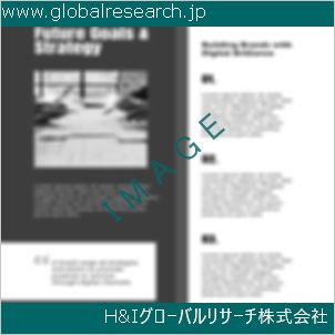 グローバルリサーチ調査資料のイメージ